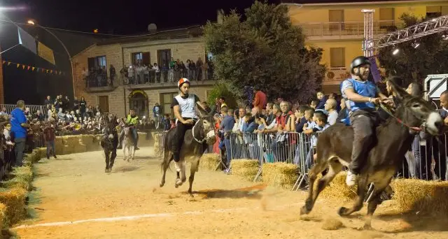 Palio di Ollolai: ecco la composizione delle batterie