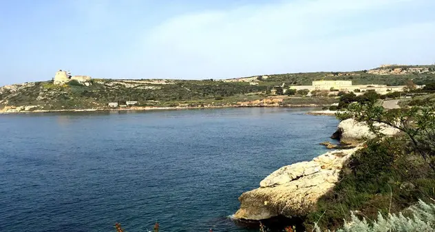 Micro alga tossica in spiaggia a Calamosca. Dal Comune: “Fate il bagno altrove”