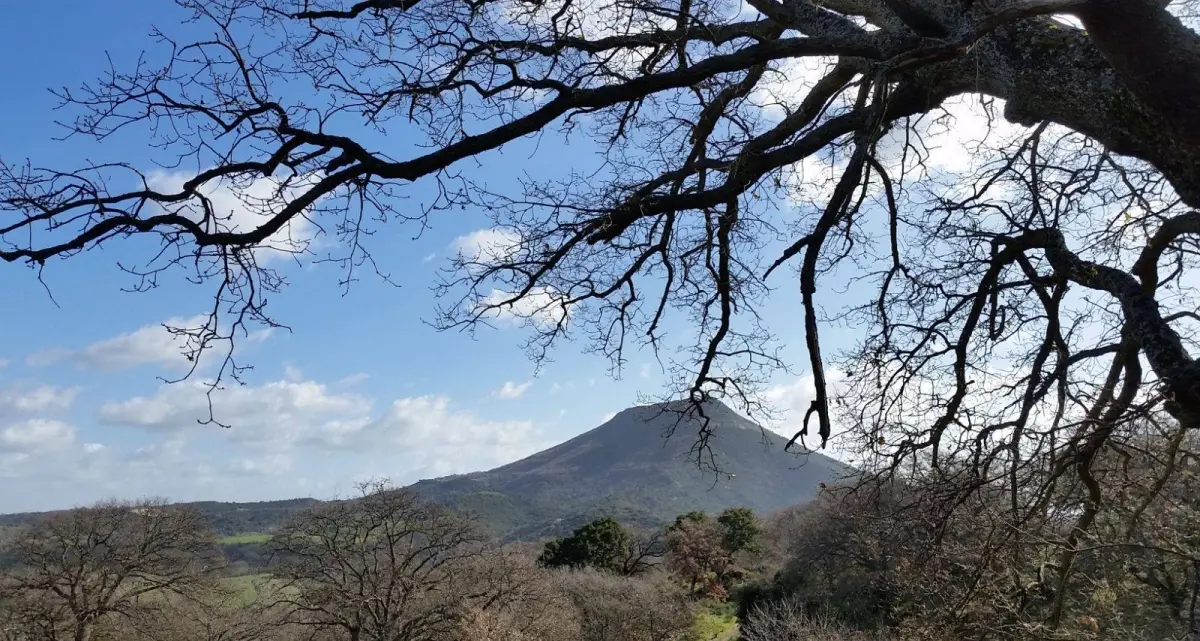 Giovedì 9 agosto incontro per la costituzione del \"Presidio di Siligo\"