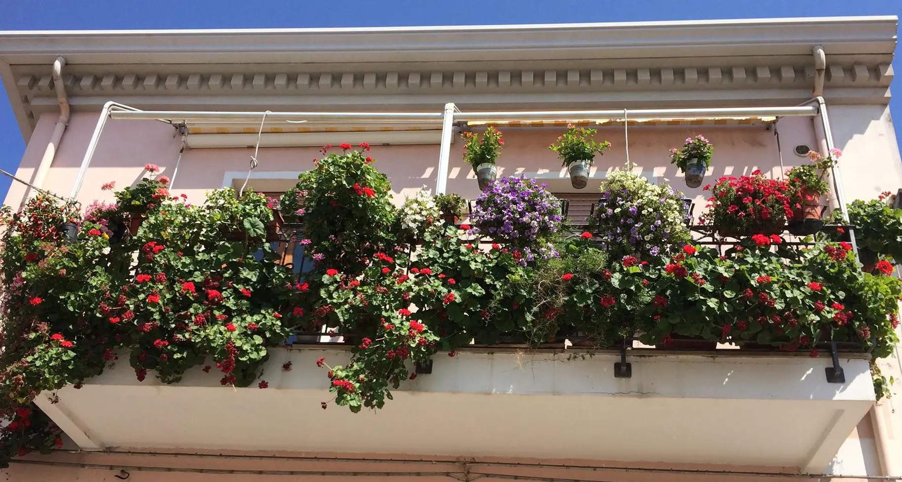 A Francesca Piredda la prima edizione di “Thiesi in Fiore”