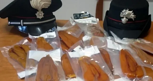 Ladro 'buongustaio' bloccato con la bottarga: in manette