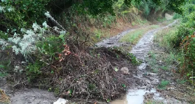 Siligo proclama lo stato di calamità naturale