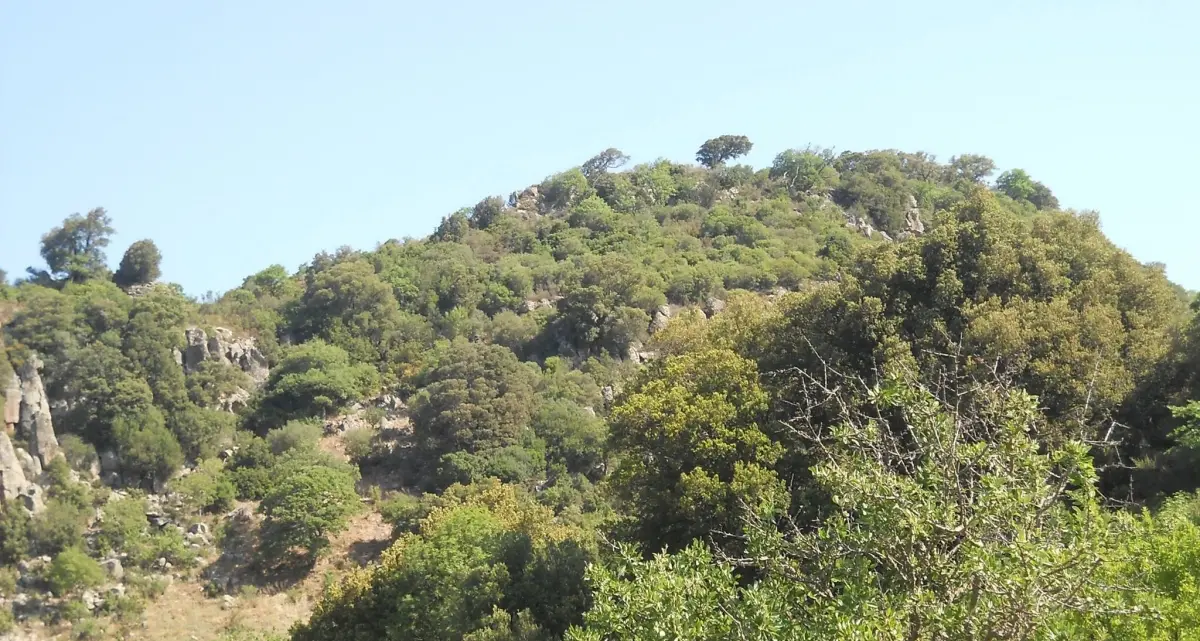 Tra natura e musica domenica 2 settembre a Mariani