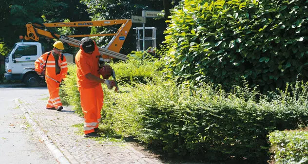 Appalto verde pubblico, 30 lavoratori a rischio: da domani sciopero ad oltranza