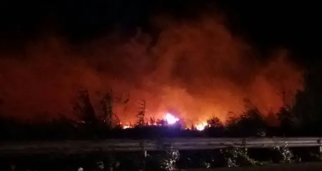 Fiamme nei pressi della 131: i Vigili del fuoco domano il rogo