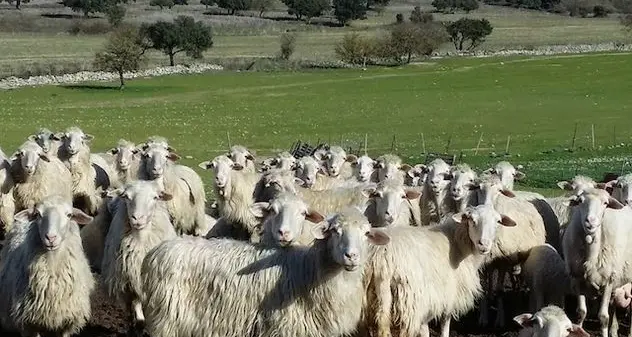 Lotta a emissioni gas serra