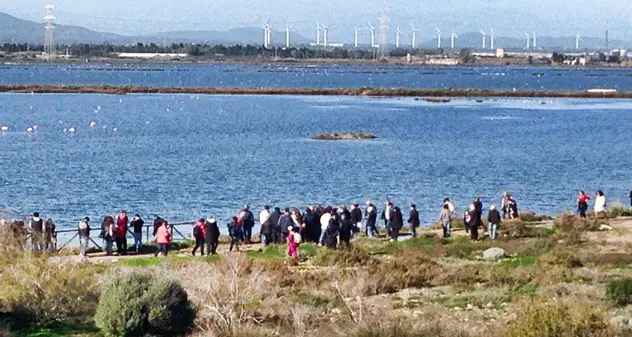 Il dopo esondazione, per lo stagno di Santa Gilla è sos di ambientalisti e pescatori