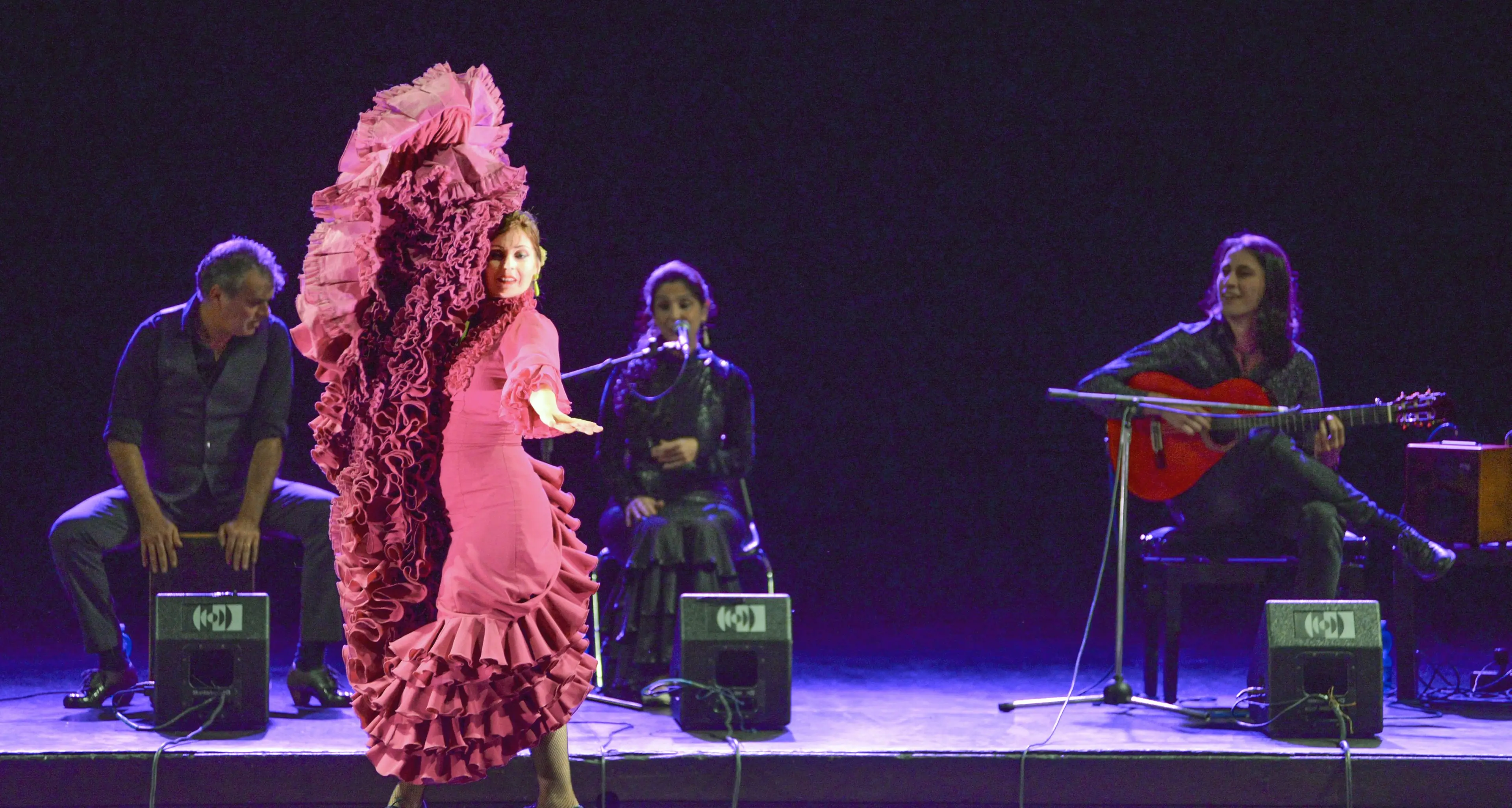 Grande successo per “Fantasia Flamenca”