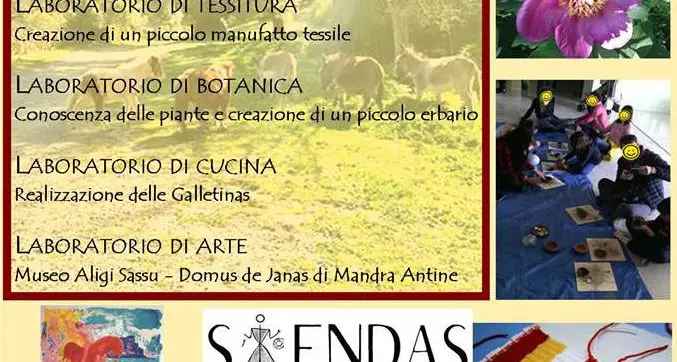 Laboratori e viaggi d’istruzione grazie alla Cooperativa Siendas