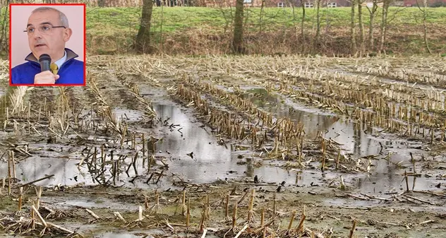 Alluvione Sud Sardegna, Cossa (Riformatori): \"La Regione tuteli gli agricoltori danneggiati\"