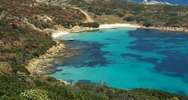 Isola dell’Asinara e Porto Torres: la campagna pubblicitaria passa anche dall’Aeroporto