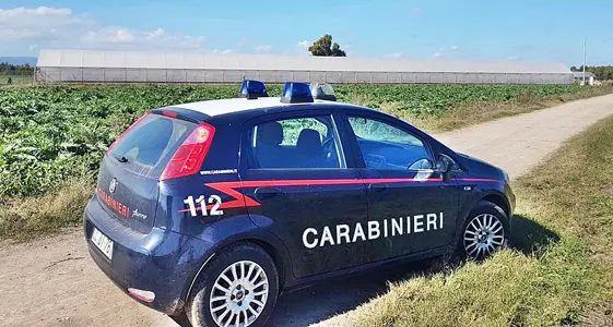 Undici lavoratori in nero in un’azienda agricola, maxi multa dei Carabinieri