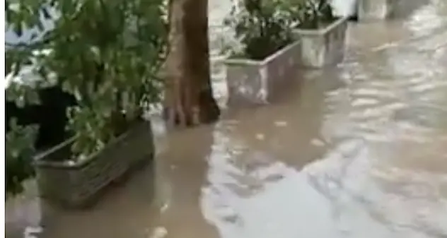 Maltempo a Nuoro: strade allagate e alberi abbattuti. VIDEO