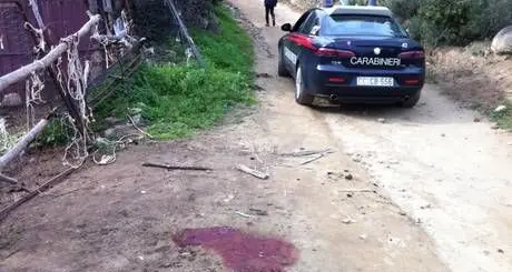 Villassimius. Ucciso a fucilate allevatore di cavalli 65enne