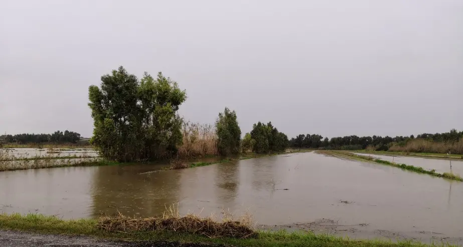 Maltempo nell’oristanese. Coldiretti: «Fortemente preoccupati»