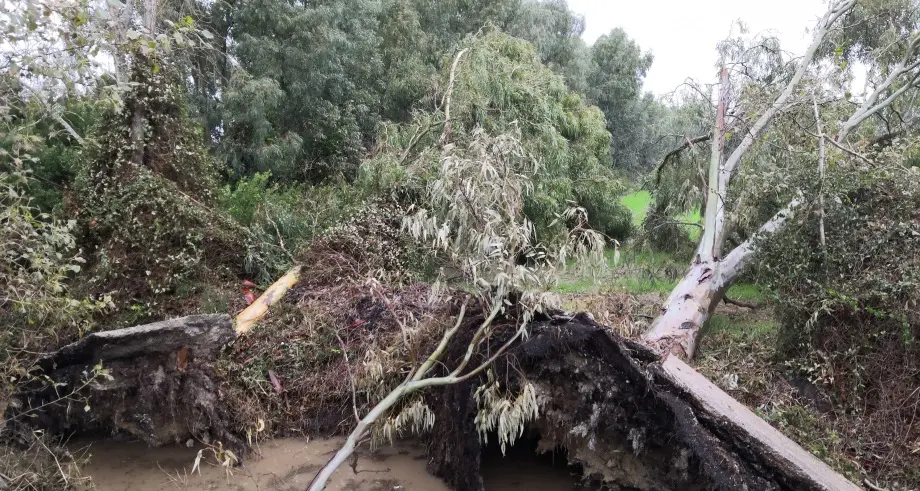 Maltempo: stato di emergenza per 11 Regioni