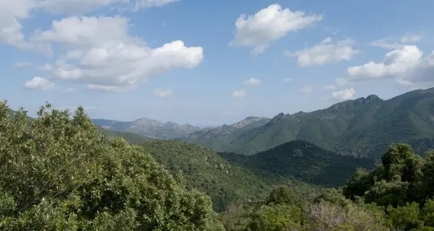 Cercatore di funghi disperso a Domus de Maria