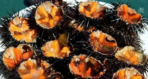 Pescatori di ricci, pronti a bloccare il porto