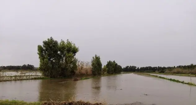 Calamità naturali: la Regione stanzia altri 1,2 milioni di euro