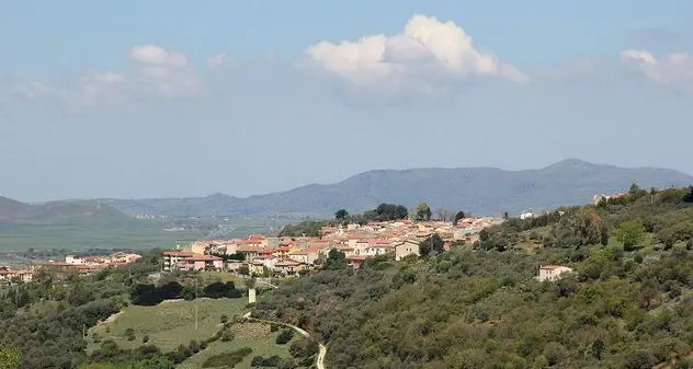 Manuela Palitta nel direttivo della Fondazione Maria Carta