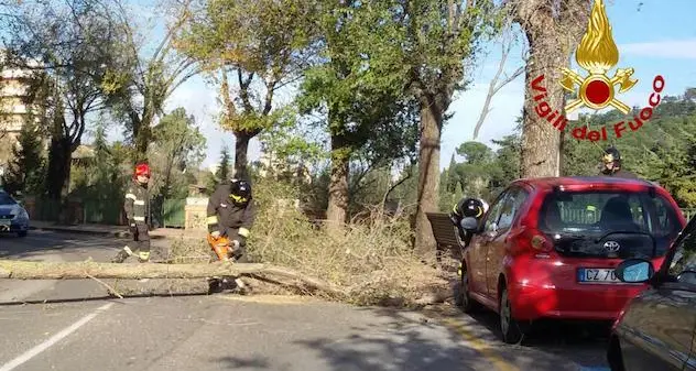 Forte vento nel Nuorese e in Ogliastra: decine gli interventi dei Vigili del fuoco