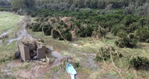 Calamità naturali: la Giunta regionale riconosce l’avversità atmosferica per gli eventi da maggio a novembre