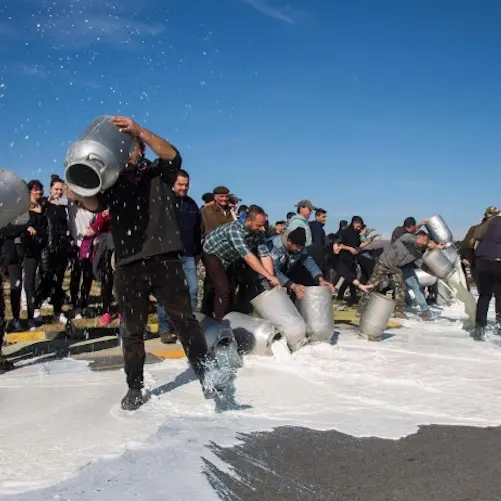 Latte ovino, pastori sardi in allarme: acconti in calo sui contratti