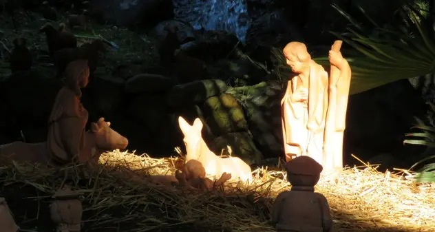 Il presepe tra le palme dell’orto botanico dell’Università di Cagliari