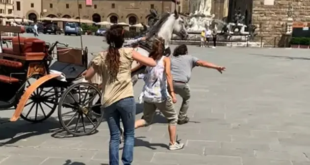 Firenze. Cavallo imbizzarrito semina il panico e danneggia auto della ministra Lamorgese
