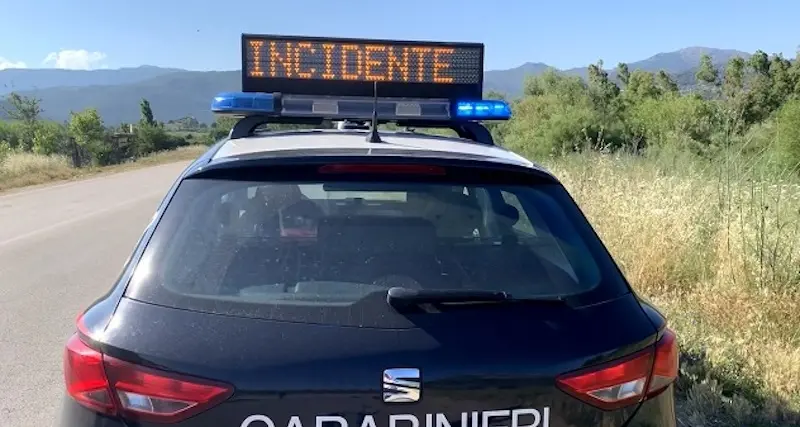 Bestiamene pashende in sos istradones , perehulu in sa provintzia de Nugoro
