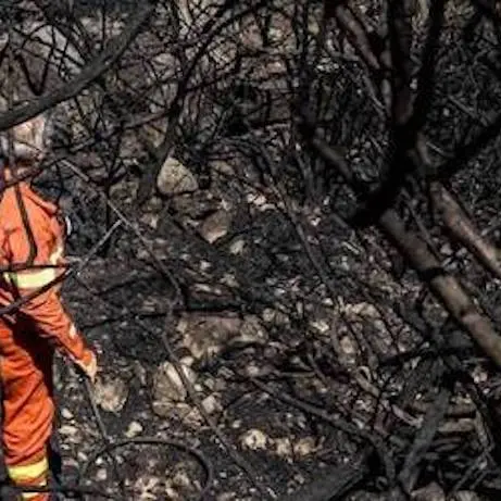 Hasteddu. Sos triballadores de Forestas sunt protestande