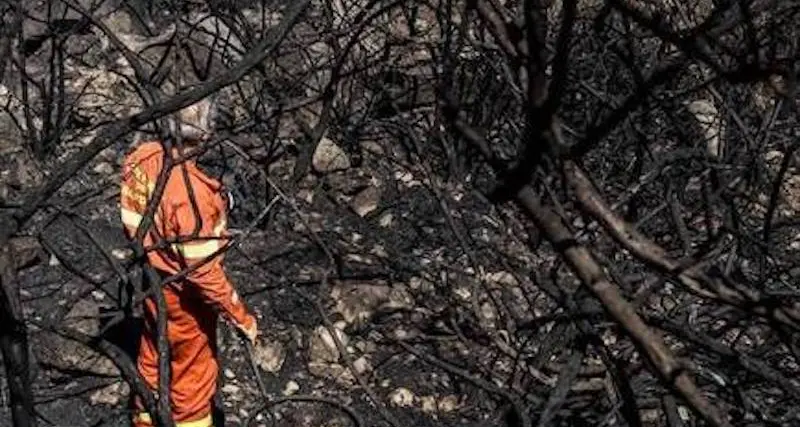 Hasteddu. Sos triballadores de Forestas sunt protestande