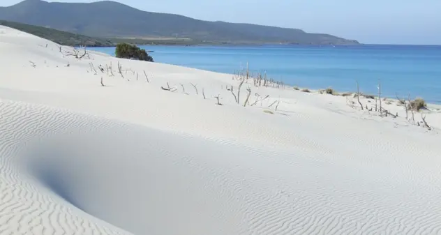 Un pezzetto di paradiso sardo comprato dagli ambientalisti