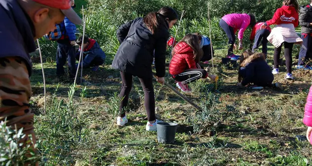 Festa degli alberi, i bambini mettono a dimora 1000 piantine