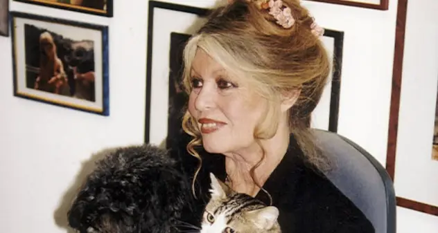 Insulti ai cacciatori, \"terroristi del mondo animale\": Brigitte Bardot condannata