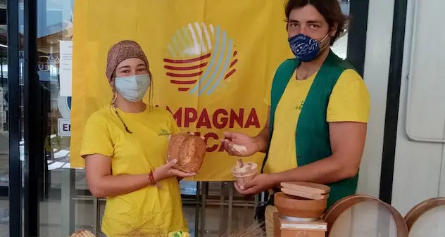 Grano, Sardegna a metà classifica: 30mila ettari coltivati