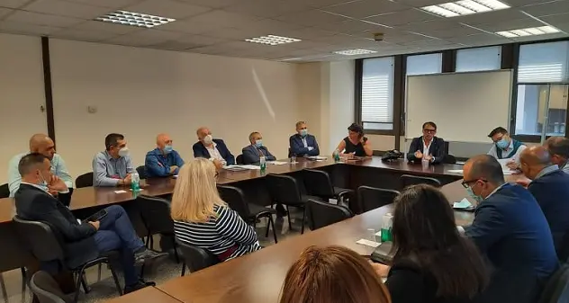 Invasione di cavallette, Mula (Psd'Az): \"Piano di contrasto e prevenzione è pronto\"
