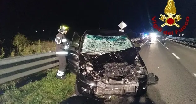 Incidente sulla 131 Dcn: auto contro mucca