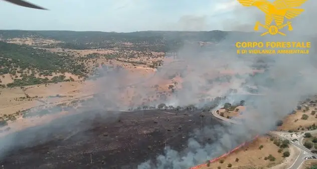 Un'altra giornata di fuoco in Sardegna: divampati 28 incendi