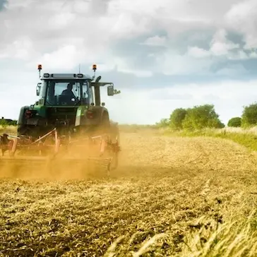 Acque reflue trattate per l'agricoltura: via libera nella Nurra