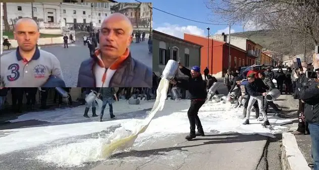 Latte, i pastori non ci stanno e replicano a Salvini: “La gente non era stupida prima e non è stupida oggi”