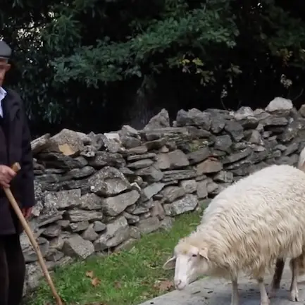 Addio a tziu Adolfino Puddu, il pastore centenario