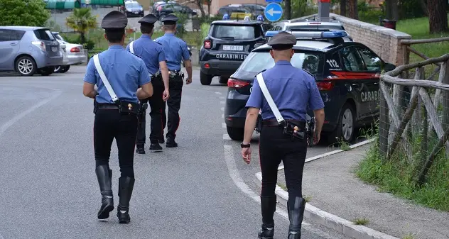 Coltivava marijuana in cortile: denunciato 58enne di Perdaxius