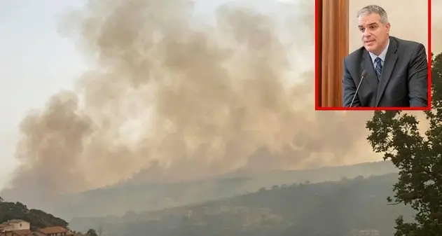 Incendi. Muroni (Fondazione Mont'e Prama): \"Attacco al futuro della Sardegna\"