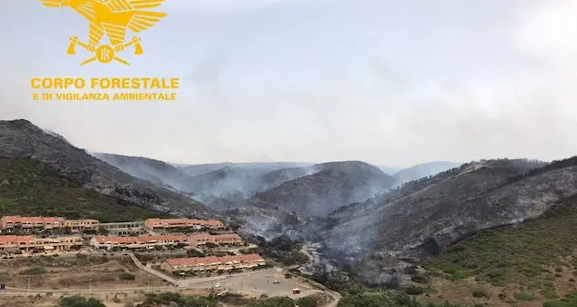 Incendio nel Montiferru. Le immagini della devastazione