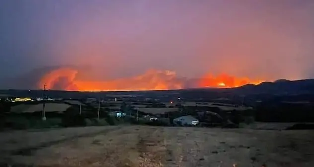 Incendi nell’Oristanese. L’assessore Lampis: “Danni incalcolabili”