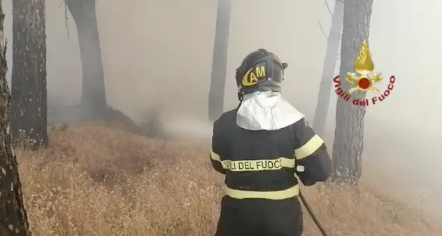 Incendi in Sardegna: 1.500 sfollati, 20.000 ettari di terreno in fumo