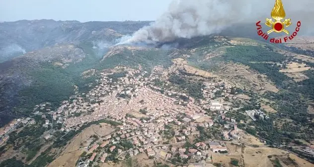 Incendi. Coldiretti: serviranno 15 anni per ricostruire i boschi