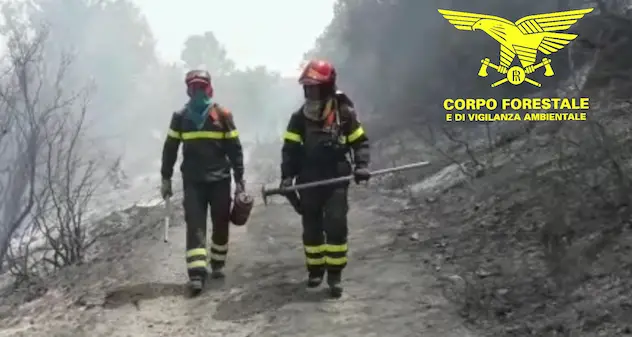 Incendi nell’Oristanese. Quasi tutti gli sfollati rientrano nelle case