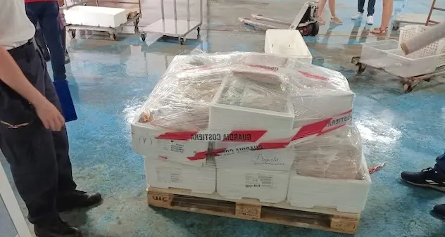 Olbia. Sequestrati 160 kg di prodotti surgelati destinati a un supermercato e un ristorante